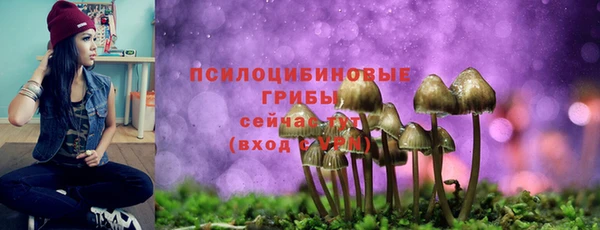 стафф Галич